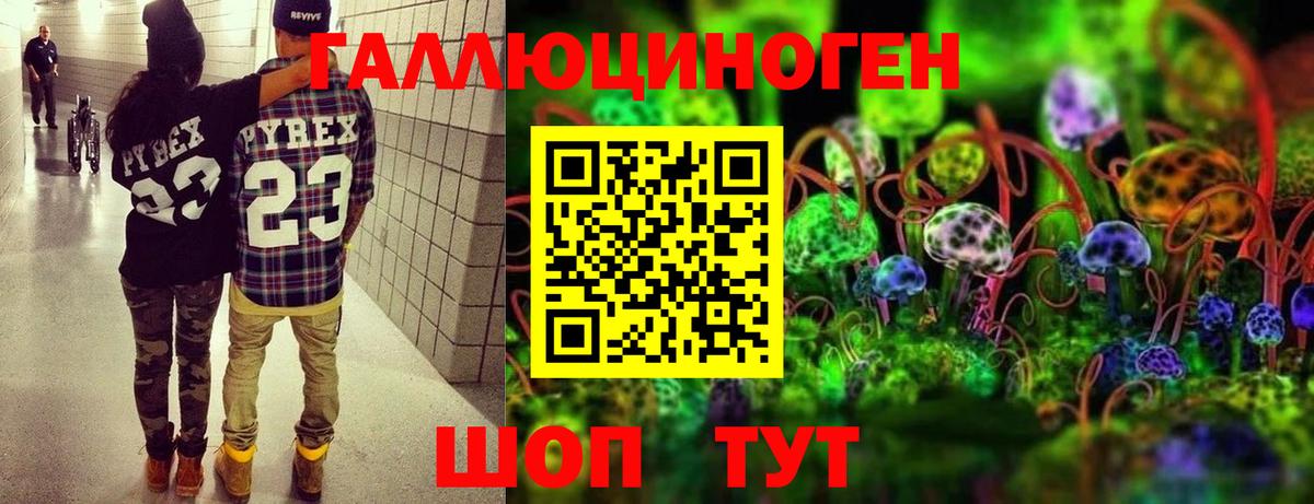 Галлюциногенные грибы GOLDEN TEACHER Изобильный